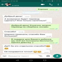 Отзыв о компании Sharkom