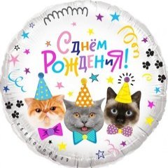 Фольгированный круг "Котики, С ДР"