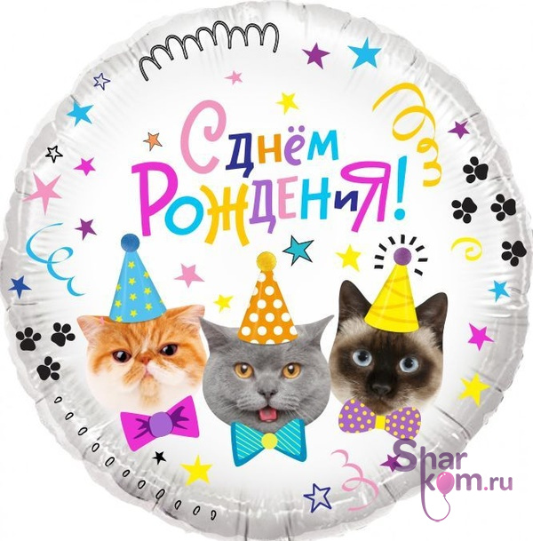 Фольгированный круг "Котики, С ДР"