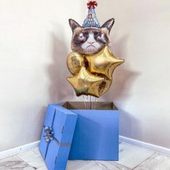 Коробка с шарами Сюрприз "Кот в колпаке"