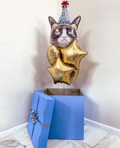 Коробка с шарами Сюрприз "Кот в колпаке"