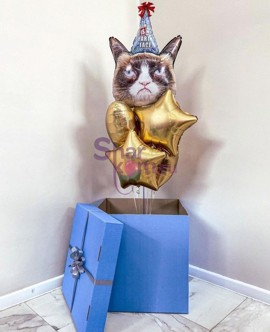 Коробка с шарами Сюрприз "Кот в колпаке"