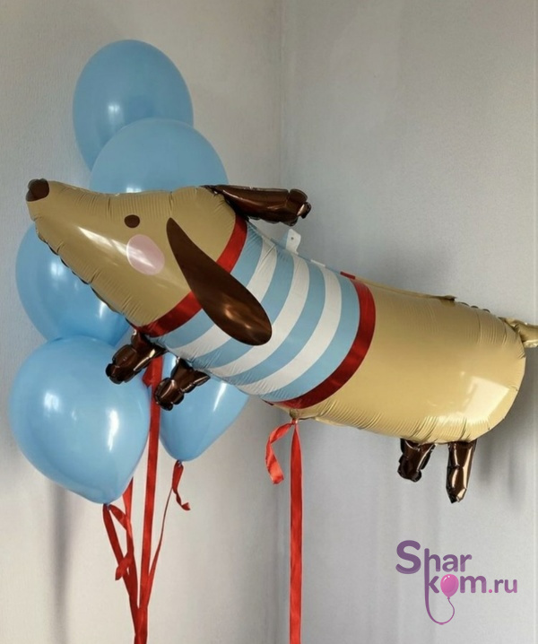 Композиция из шаров "Такса"