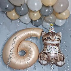 Композиция из шаров "Бежевый сет с котенком"