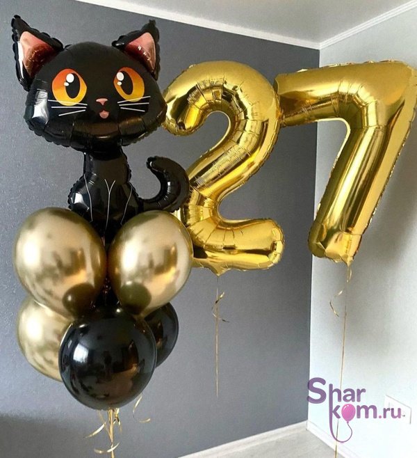 Композиция из шаров "На 27 лет с котенком"