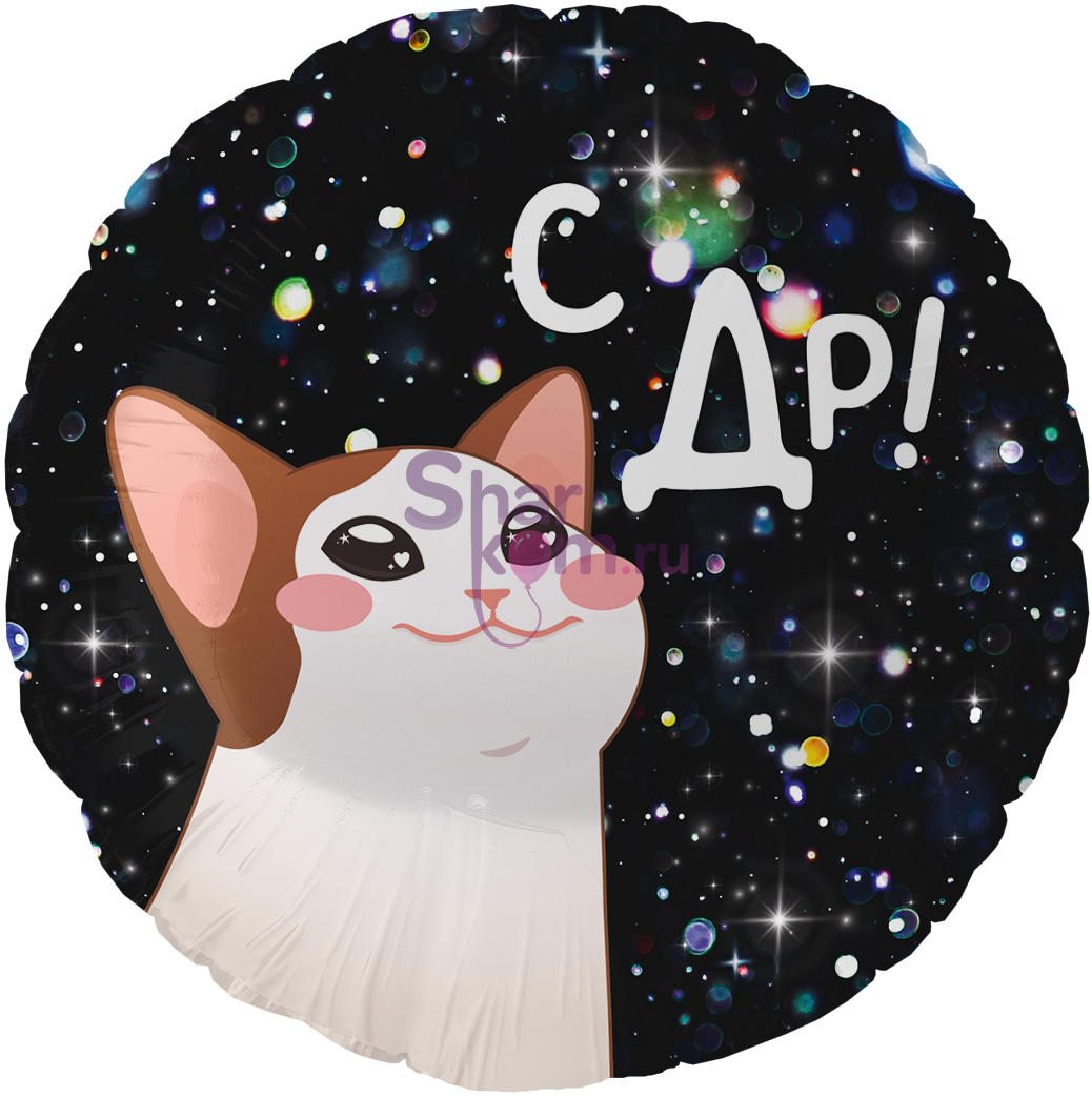 Фольгированный круг "С ДР! (котик)"