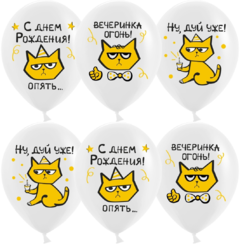 Шары "С Днем Рождения!" (рыжий котик)
