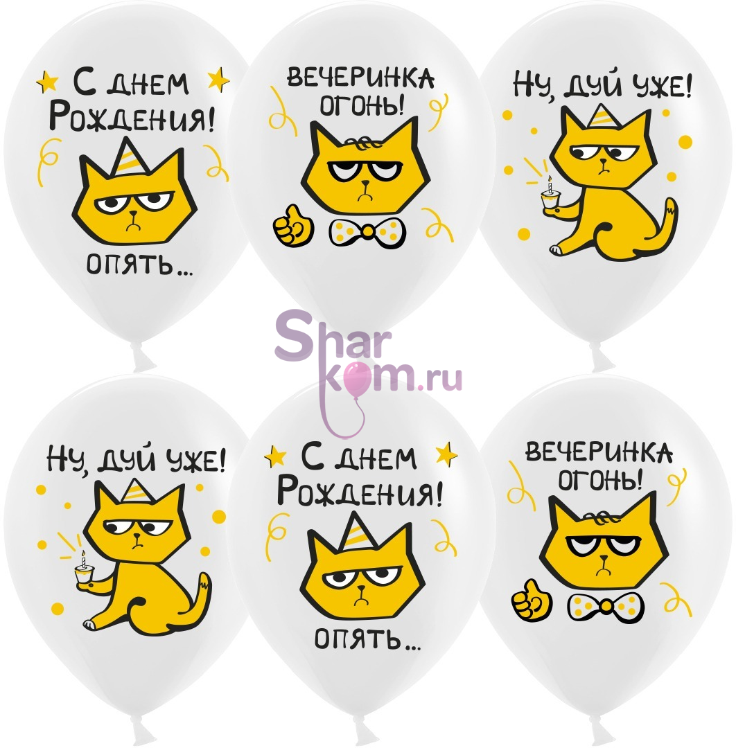 Шары "С Днем Рождения!" (рыжий котик)