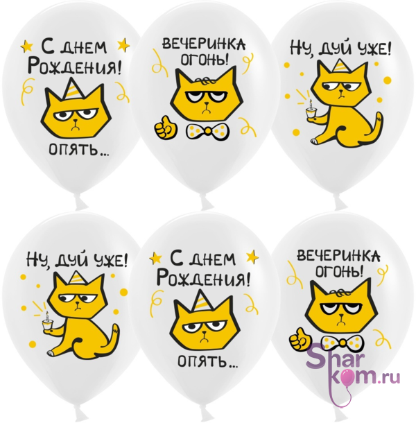 Шары "С Днем Рождения!" (рыжий котик)