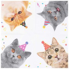 Салфетка "Котики фотографичные " 12шт