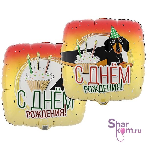 Шар "ДР Такса"