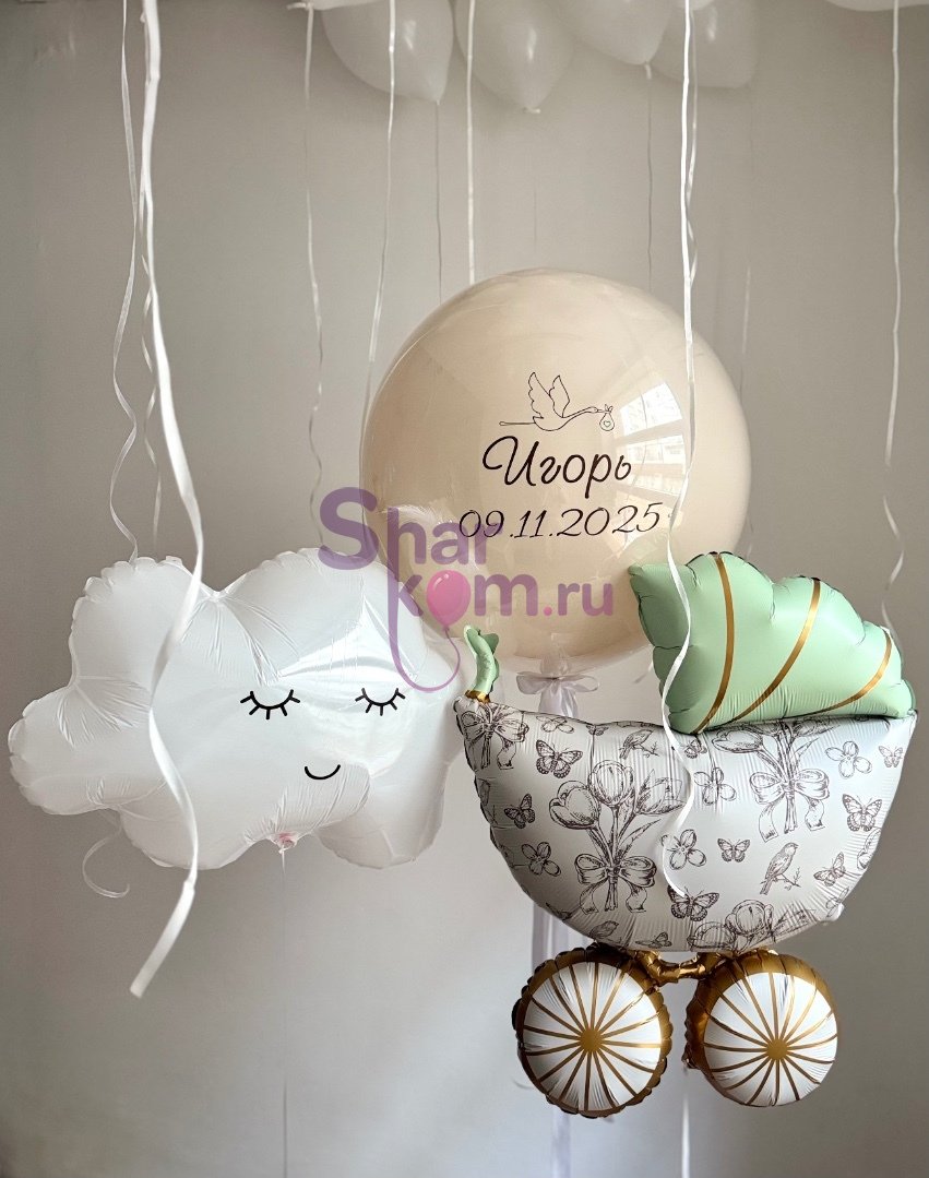 Композиция из шаров "Наш малютка"