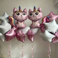 Композиция из шаров "Котики - Близнецы"