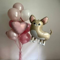 Композиция из шаров "Милый Чихуаху"