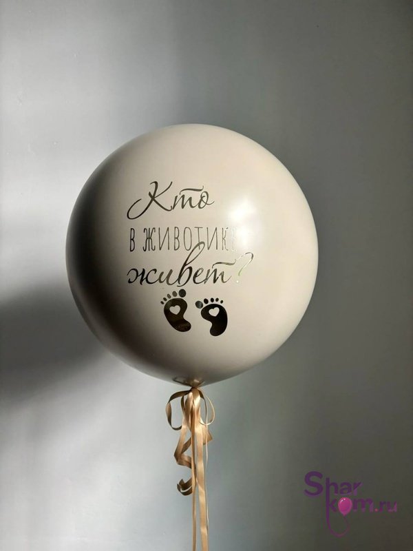Шар - сюрприз "Кто в животике живет"
