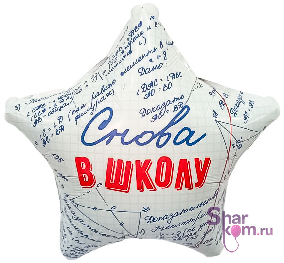 Шар Звезда "Снова в школу"