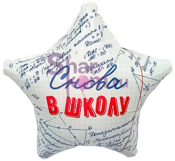 Шар Звезда "Снова в школу"