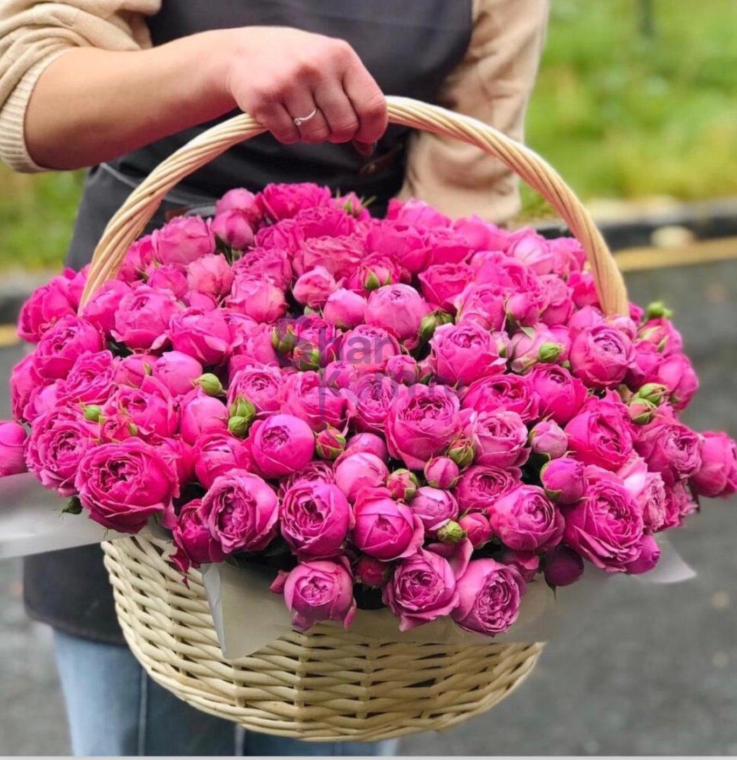 51 кустовая пионовидная роза