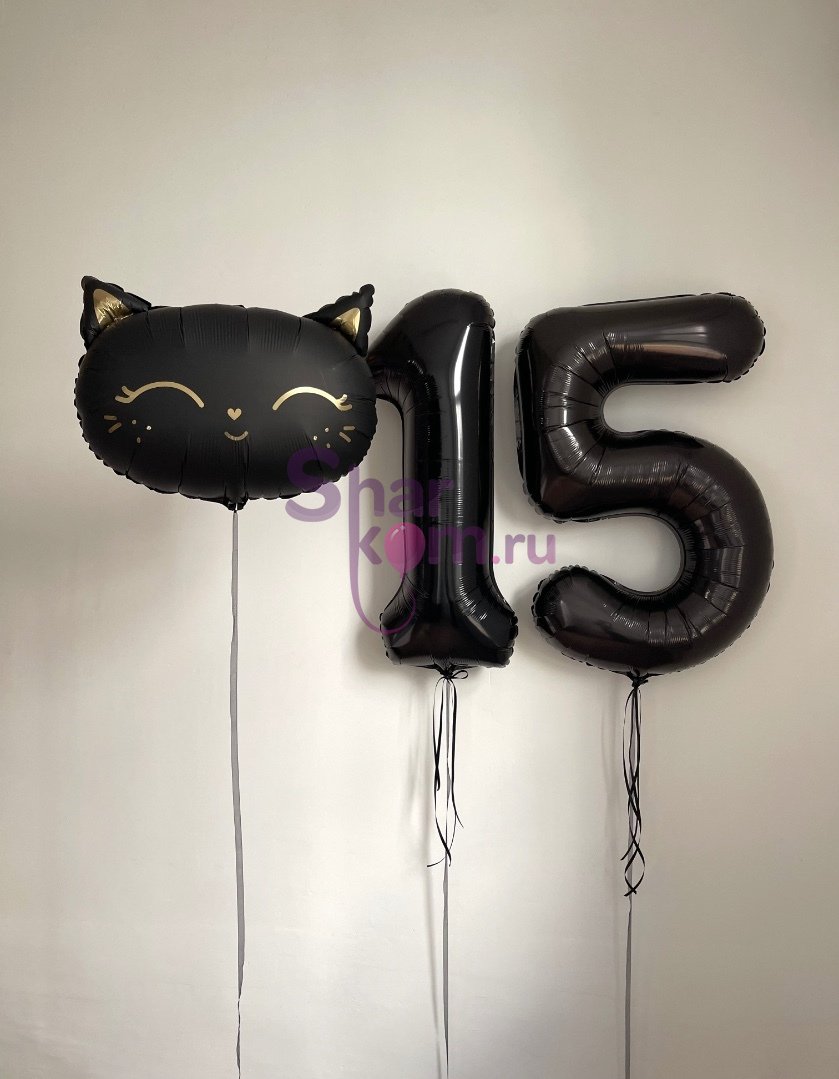 Композиция из шаров «Черная кошечка на пятнадцатилетие»