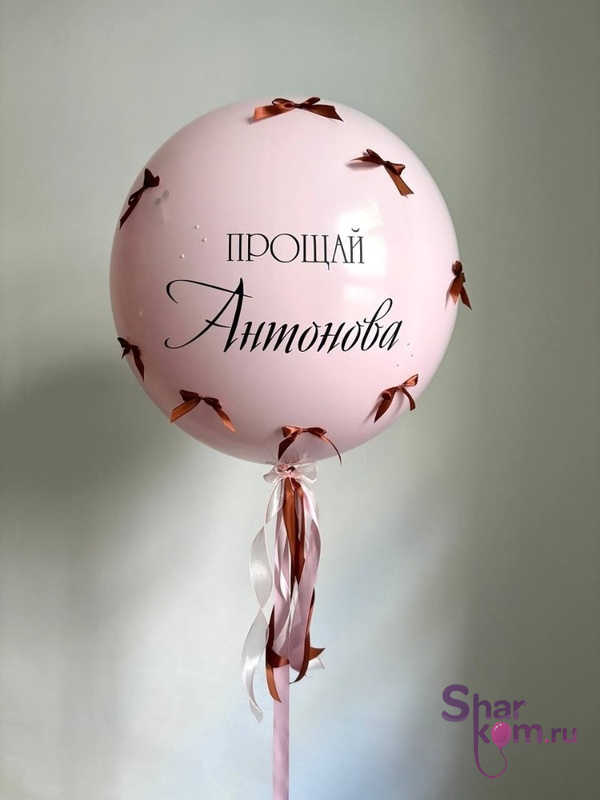 Большой шар «Новая фамилия», на девичник
