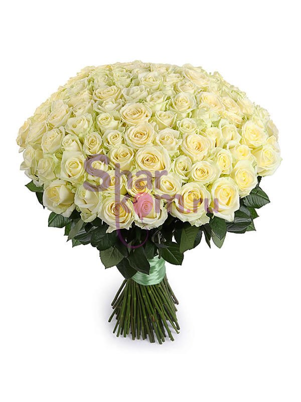 Букет из белых роз - 101 роза, 70 см.