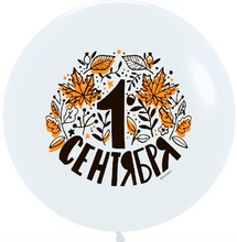Воздушный шар