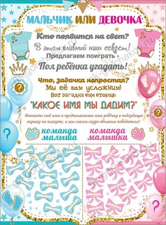 Плакат Мальчик или Девочка? (Игра), 44*60 см