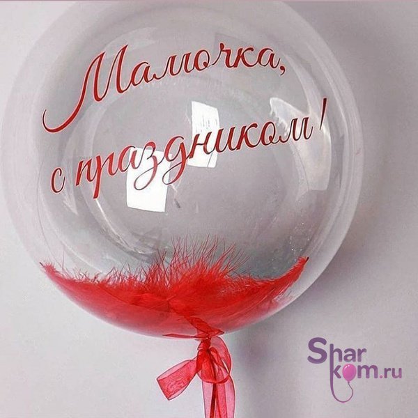 Прозрачный шар "Сфера" с красными перьями и надписью