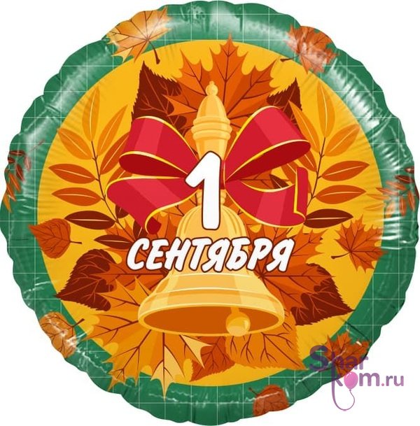 Фольгированный круг "1 Сентября"