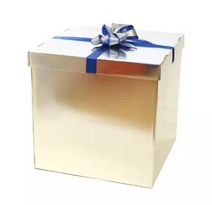 Коробка для воздушных шаров 70*70*70 (серебро)