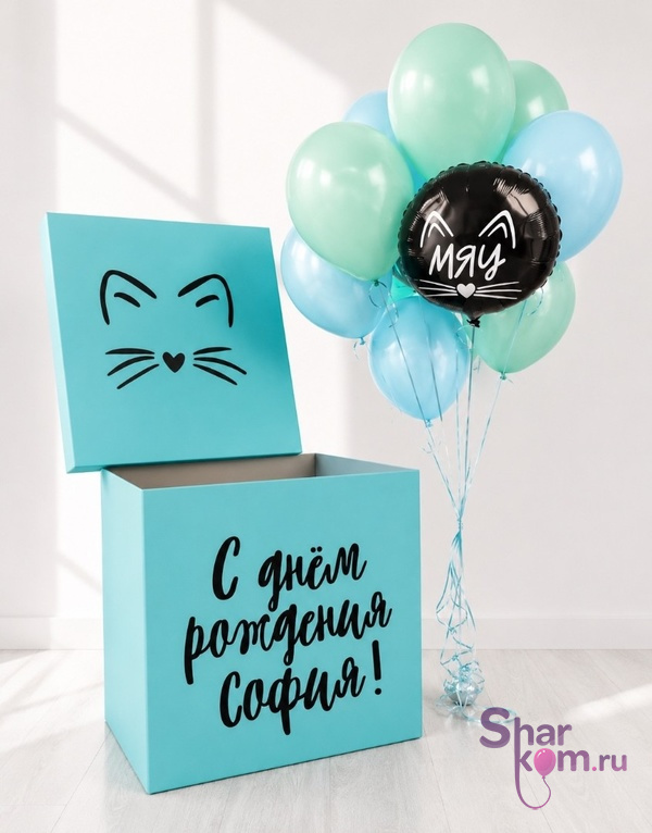 Коробка с шарами Сюрприз "Мяу"