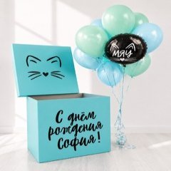 Коробка с шарами Сюрприз "Мяу"