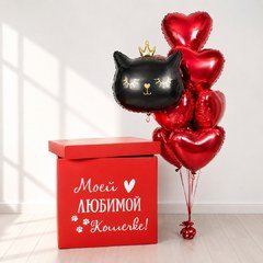 Коробка с шарами Сюрприз "Моей любимой кошечке"