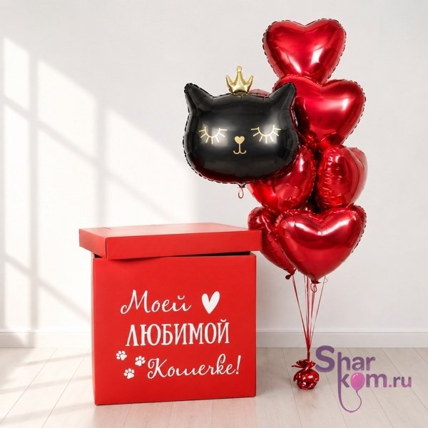 Коробка с шарами Сюрприз "Моей любимой кошечке"