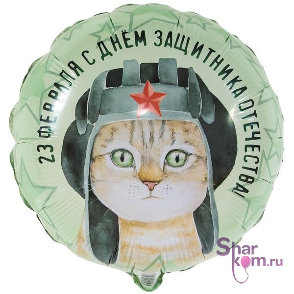 Фольгированный круг "Кот в шлемофоне"