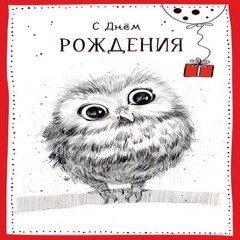 Открытка "С Днем Рождения", (совенок)