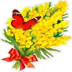 Плакат Мимоза, 30*40 см,